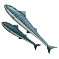 Thumbnail for version as of 20:33, 13 October 2026