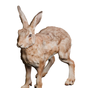 Icon Animal Hare.png