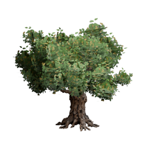 Icon Node Tree.png