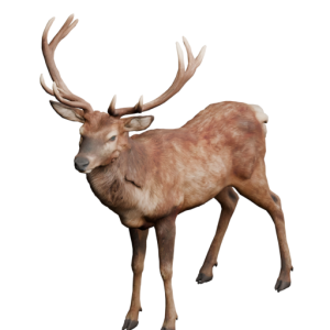 Icon Animal Deer.png