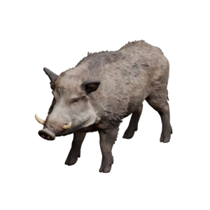 Icon Animal Boar.png